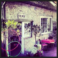 In Town: The Buttercup Café, Lewes